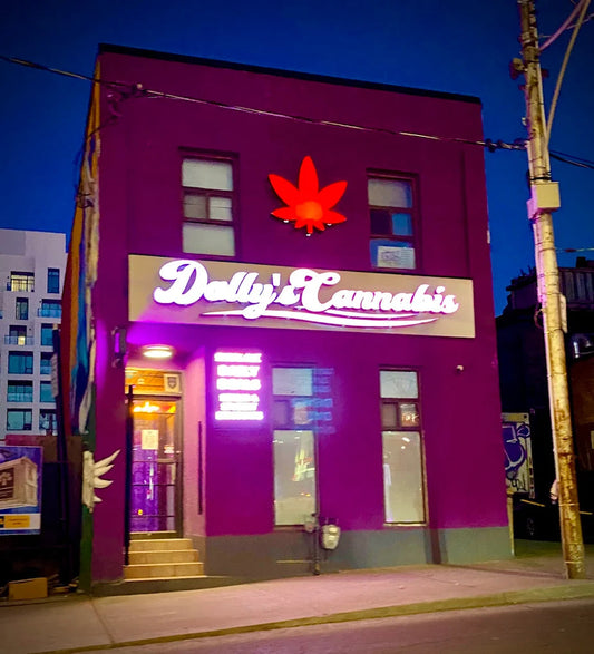 Dolly's Cannabis — 1105 Bathurst Street, Toronto. The origin point of LOT T.O Therapeutics.